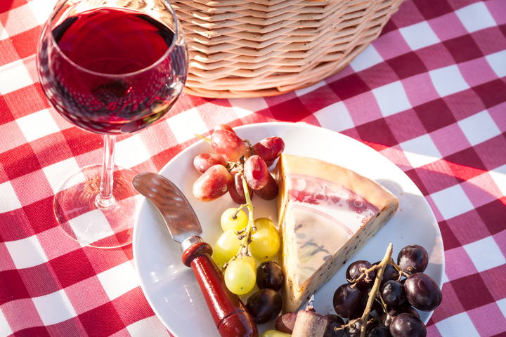 Picnic with Palisade Wine - Mile High Wine Tours