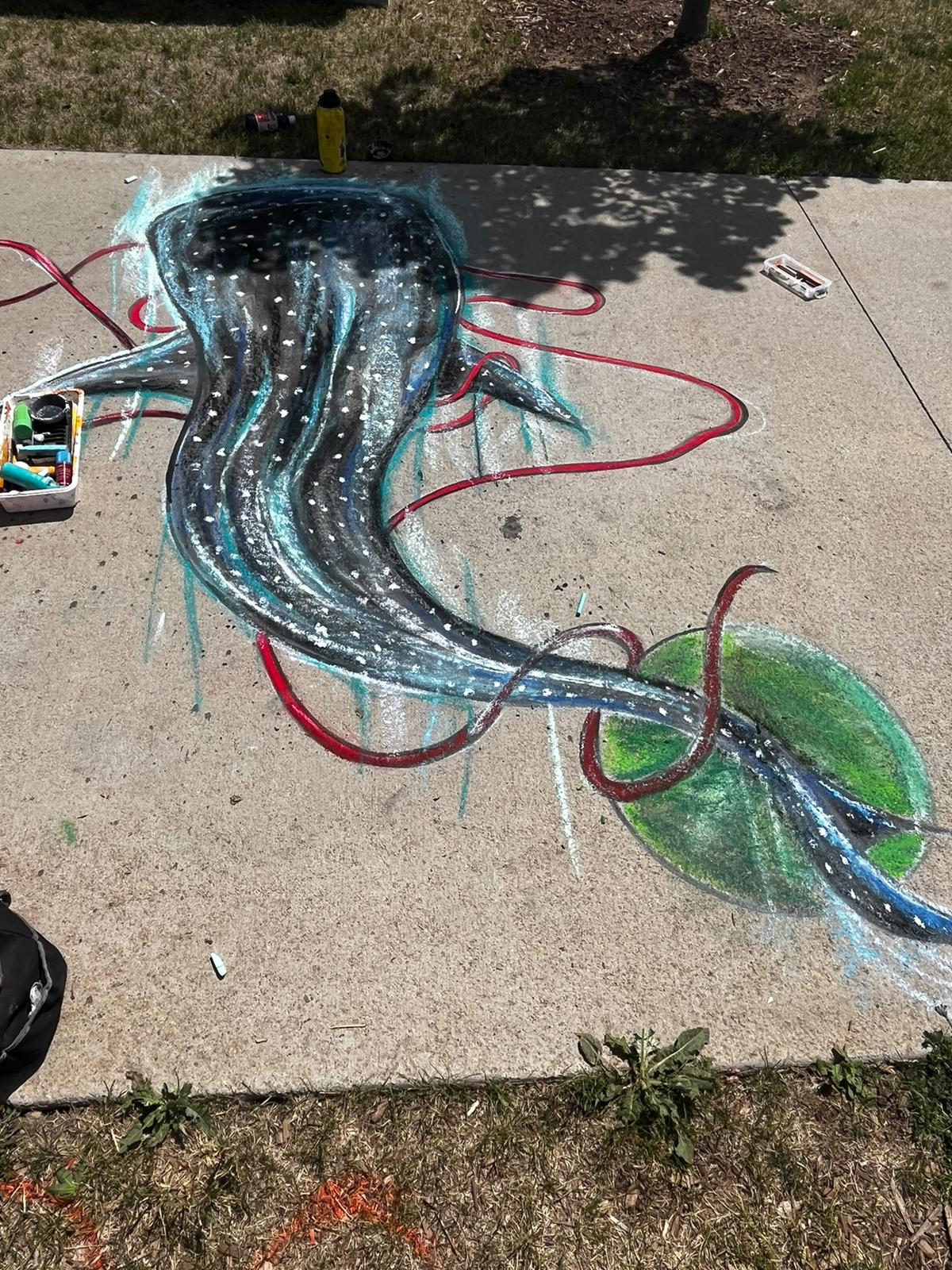 Colorado Wine Festival Chalk Lines and Vines